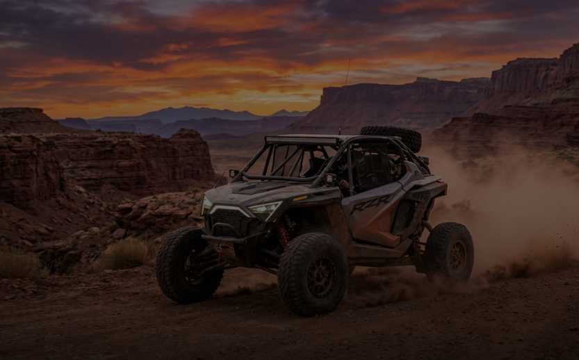 MONEY BACK GUARANTEE